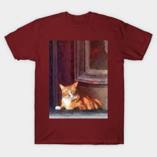 Cats - Orange Tabby in Doorway T-Shirt